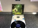 LP VINYL CARAVAN IF I COULD DO IT ALL OVER AGAIN SKL.5052 UK 1ST PRESS NM-/NM-