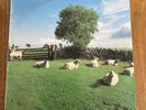 The KLF Chill Out rare US import vinyl