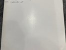 Set Fire to Flames ‘Sings Reign Rebuilder’ [12” Vinyl Record] Rare Test Pressing