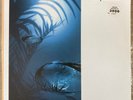 Big Bud Pure EP Good Looking Records LTJ Bukem