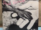 1982 Dead Kennedys 