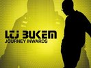 LTJ Bukem - Journey Inwards (4x12
