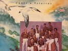 SONORA VERACRUZ CANTO A VERACRUZ LP 1992 MEXICO ECO SALSA GUAGUANCO RARE EX/EX