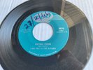 Rare 1966 Canada Rock 45 *Link Wray & The Raymen* Batman Theme  Reo
