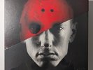 Eminem The Vinyl LPs Deluxe Box Set 10 LPs 2015