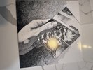 Software Replica Black Vinyl LP 12