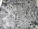 Cream - Wheels Of Fire -Live At The Fillmore Polydor  - vinyl is mint cover vg