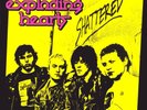 THE EXPLODING HEARTS SHATTERED NEW LP