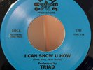 Electronic, Funk / Soul Triad - I Can Show U How Paradise Productions (2)