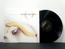 A PERFECT CIRCLE Dbl LP Thirteenth Step 2003 Virgin  vinyl