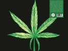 Cannabis Joint Effort (Vinyl)