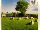 Rare THE KLF CHILL OUT 12” Clear Vinyl LP US Import Ambient JAMS LP5-A NM/EX
