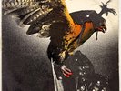 Budgie - In For The Kill  Vinyl LP 1974 AUS 1st Pressing