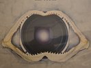 Leftfield Leftism Vinyl Record UK 30th January 1995 2 X LP Gatefold 1st press