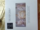 Manic Street Preachers the Holy Bible Limited 20th Anniversary Edition LP/4CD