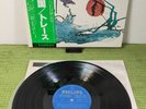 Trace – Birds, BT-5193, OBI, Japan, LP, NEAR MINT