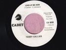 Terry Callier 
