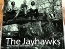 THE JAYHAWKS : TOMORROW THE GREEN GRASS : VINYL LP : AMERICAN 1-43006 : EX/EX