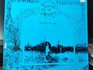 Seed'n'Barley - Shining for you