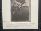 PIXIES - Surfer Rosa LP Vinyl 4AD Records Frank Black Francis NM 180g