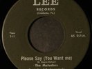 MATADORS: please say (you want me) / should i ever love again LEE 7