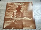 Hound Dog Taylor and the House Rockers-Chicago Blues-Alligator Record4701 NM/VG+