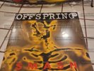 The Offspring - Smash - Ruby Red Marble Vinyl LP Record sealed mint