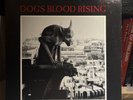 Current 93 Dogs Blood Rising 12