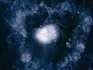 Swans - My Father Will Guide Me Up to a Rope to the Sky LP (Vinyl, 2014) New