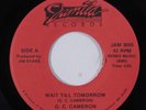 Modern Soul Boogie 45 G.C. CAMERON Wait Till Tomorrow JAMILA NM HEAR h