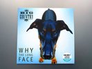 Big Country - Why the long face - limited RSD 2024 Turquoise Vinyl, Mint NEW