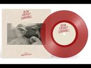 Rob Grant & Lana Del Rey Lost At Sea Red Vinyl 7