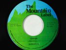 Roots Reggae 45 - Bandele - Changes - The Mountain Label VG+