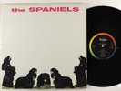 Spaniels 