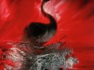 DEPECHE MODE - Speak And Spell - VINILE LP SIGILLATO NEW SEALED