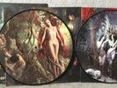 CRADLE OF FILTH HAMMER OF THE WTCHES 2LP RECORD PICTURE DISCS 2015 27361-34084