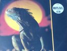 Ruts DC Animal Now NEAR MINT Virgin Vinyl LP