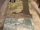 John  & Yoko Ono Lennon /Plastic Ono Band 3 mint Vinyl Lps remastered