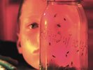 Alice in Chains - Jar Of Flies - [Vinyl]