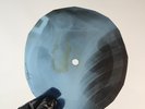 BEACH BOYS SURFER GIRL X-Ray USSR Record Roentgen Bone Ribs Music Vinyl