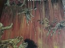Slayer Hell Awaits LP 1985 Combat Metal Blade Original Vinyl MX 8020