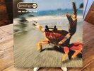 The Prodigy – Fat of the Land 1997 UK 1st Press XLLP121 DAMONT Mike’s Exchange