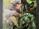 JOHN MAYALL Blues From Laurel Canyon Vinyl Record Original Pressing London NM