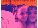 SMASHING PUMPKINS SIAMESE DREAM  Remastered  2 LPs  NEW  SHIPS TODAY