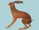 Vashti Bunyan Lookaftering (Vinyl) Expanded  12