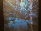 Hum Downward Is Heavenward 2xVinyl Limited Edition Reissue 180g Blue SEALED