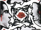 Red Hot Chili Pepper - Blood Sugar Sex Magik - Vinyl Record - F600z