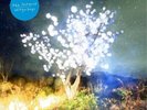 The Notwist Vertigo Days (Vinyl) 12