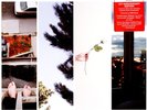 Counterparts - Difference Between Hell And Home (Vinyl LP - 2013 - US - Reissue)