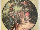 RARE Creedence Clearwater Revival: Green River RARE PICTURE DISC Akarma Italy